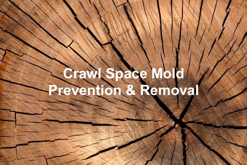 Crawl Space Mold: Prevention and Removal - Crawlspace Doctor